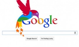 بروزرسانی مرغ مگس خوار گوگل